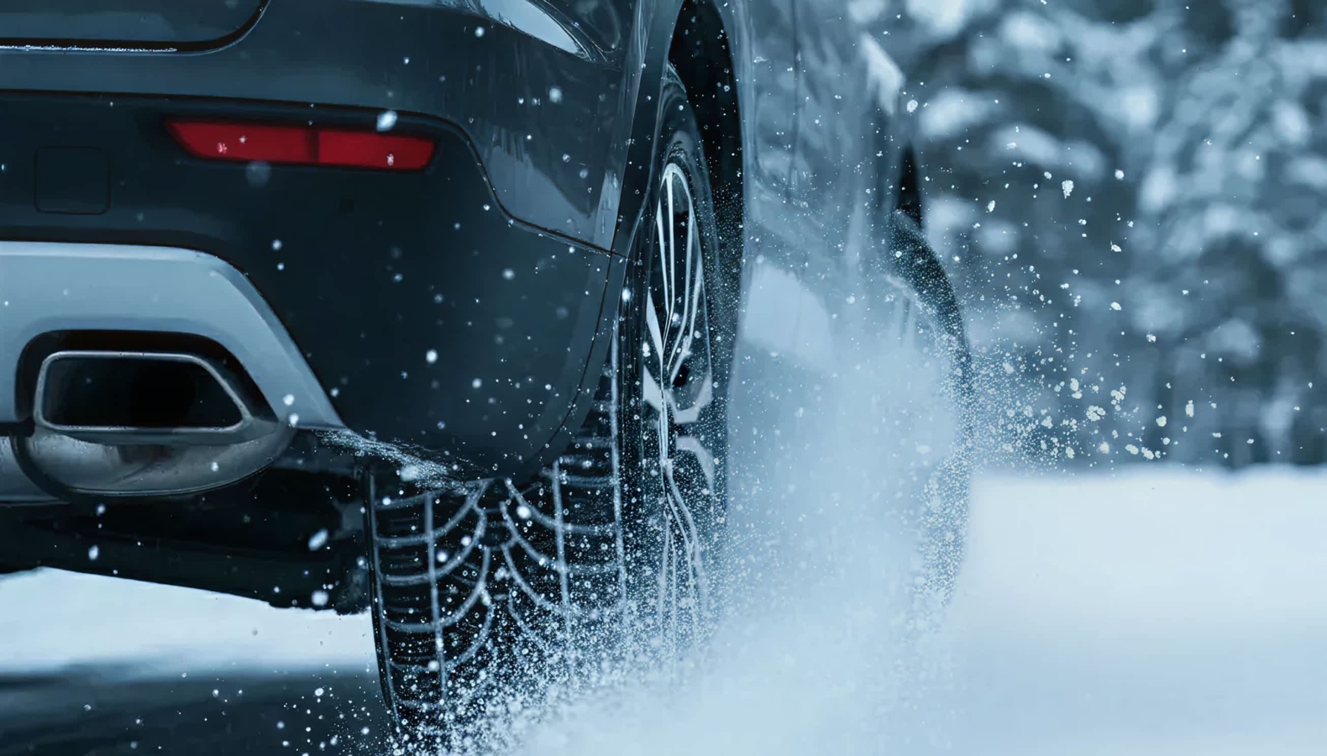 Winter Sale - Up to 20% off